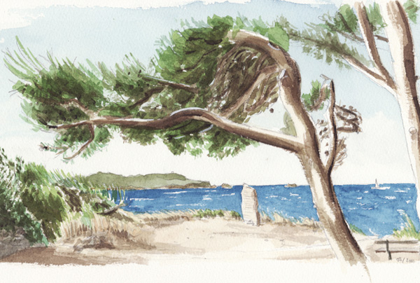 aquarelle, Les pins de Méditerannée